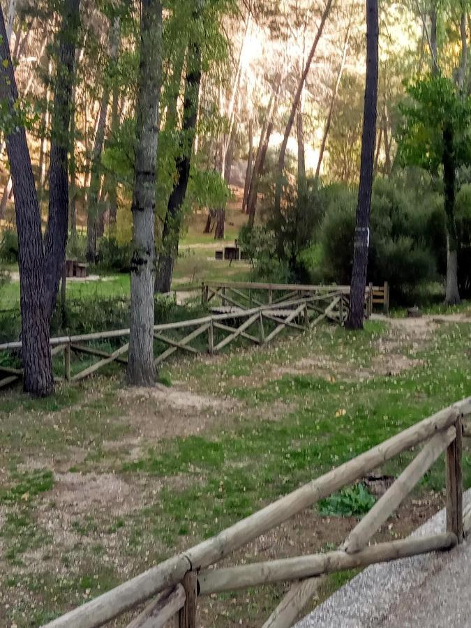 Casa Pinos Pension Siles Buitenkant foto